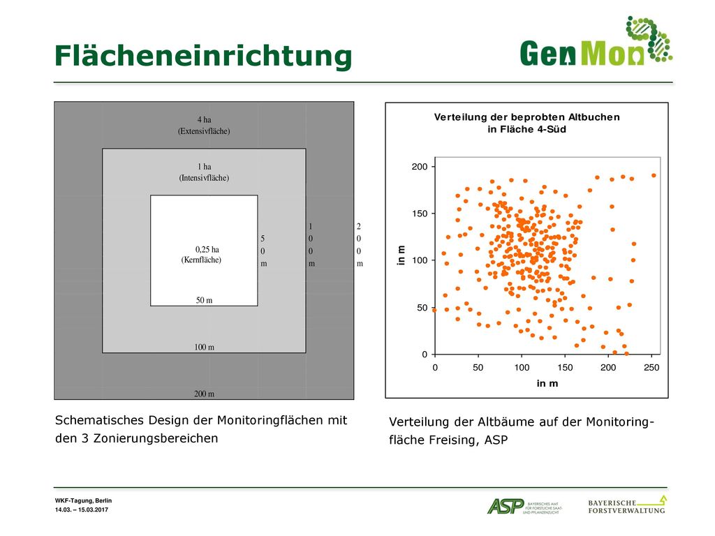 Flächeneinrichtung Schematisches Design der Monitoringflächen mit den 3 Zonierungsbereichen.