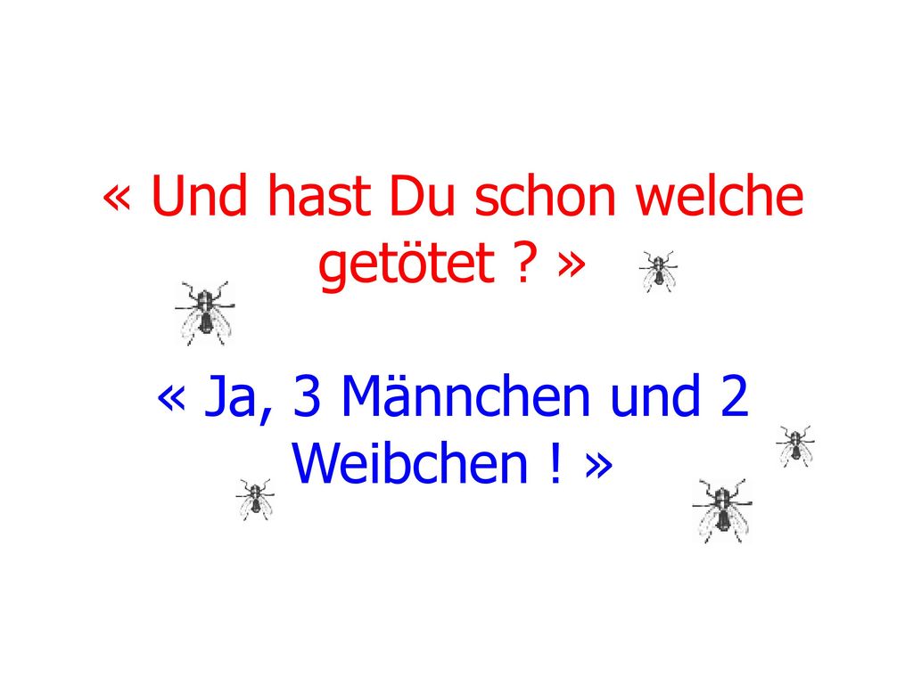 « Und hast Du schon welche getötet. » « Ja, 3 Männchen und 2 Weibchen