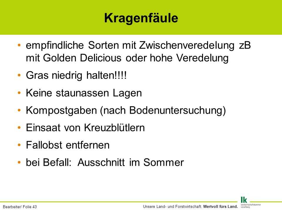 Kragenfäule empfindliche Sorten mit Zwischenveredelung zB mit Golden Delicious oder hohe Veredelung.
