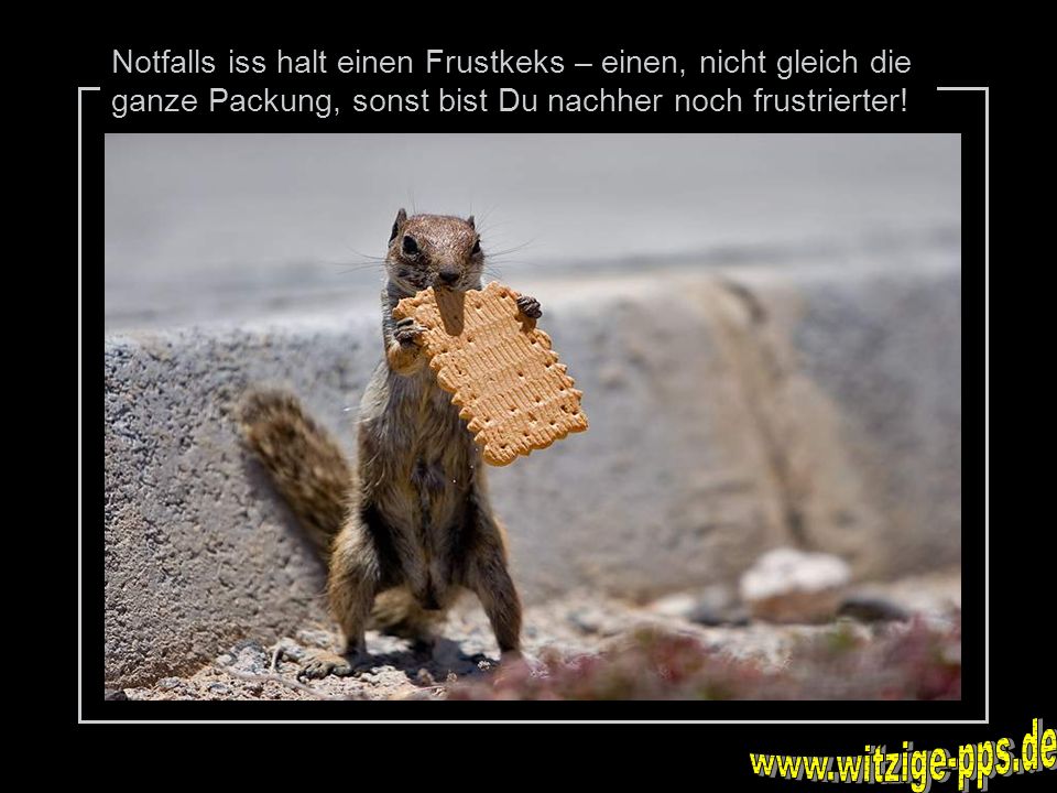 Notfalls iss halt einen Frustkeks – einen, nicht gleich die ganze Packung, sonst bist Du nachher noch frustrierter!