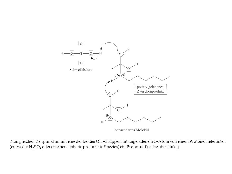 Zum gleichen Zeitpunkt nimmt eine der beiden OH-Gruppen mit ungeladenem O-Atom von einem Protonenlieferanten (entweder H2SO4 oder eine benachbarte protonierte Spezies) ein Proton auf (siehe oben links).