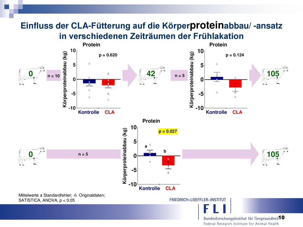 Einfluss der CLA-Fütterung auf die Körperproteinabbau/ -ansatz in verschiedenen Zeiträumen der Frühlakation