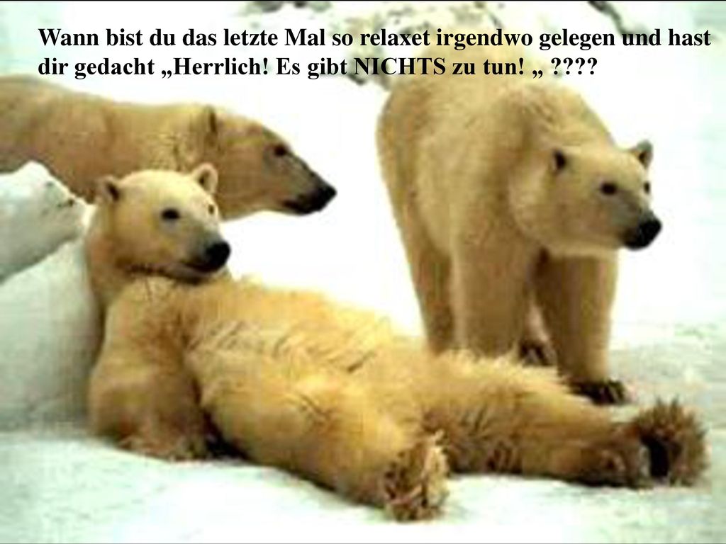 Wann bist du das letzte Mal so relaxet irgendwo gelegen und hast dir gedacht „Herrlich.