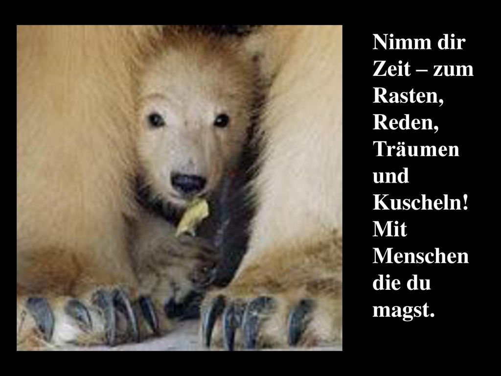 Nimm dir Zeit – zum Rasten, Reden, Träumen und Kuscheln