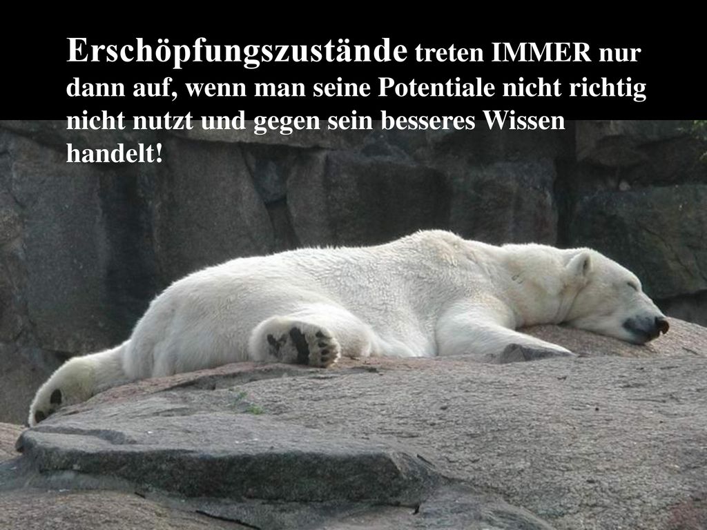 Erschöpfungszustände treten IMMER nur dann auf, wenn man seine Potentiale nicht richtig nicht nutzt und gegen sein besseres Wissen handelt!