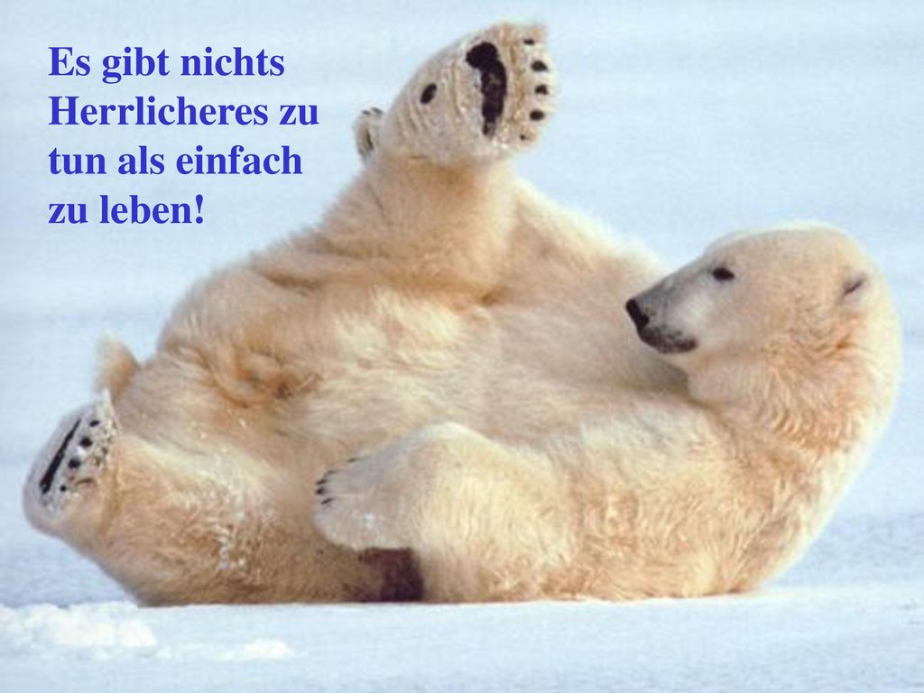 Es gibt nichts Herrlicheres zu tun als einfach zu leben!