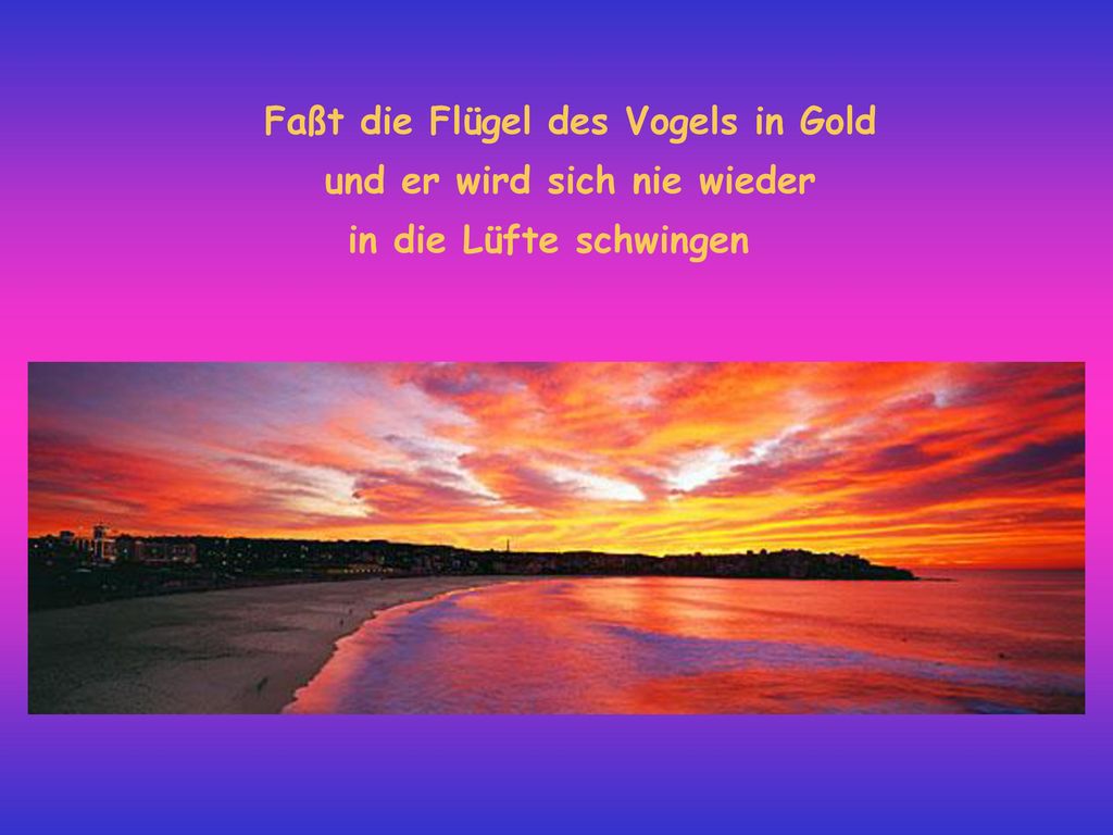 Faßt die Flügel des Vogels in Gold und er wird sich nie wieder