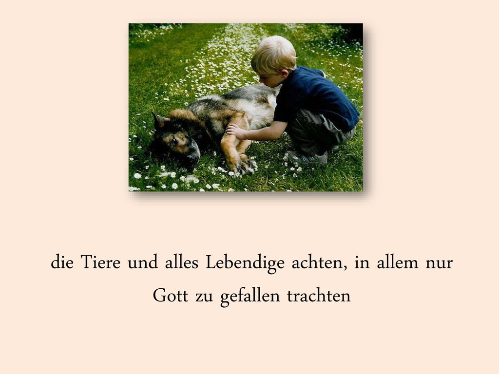 die Tiere und alles Lebendige achten, in allem nur Gott zu gefallen trachten