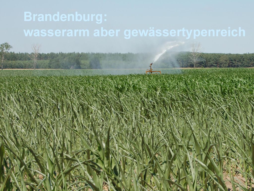 Brandenburg: wasserarm aber gewässertypenreich