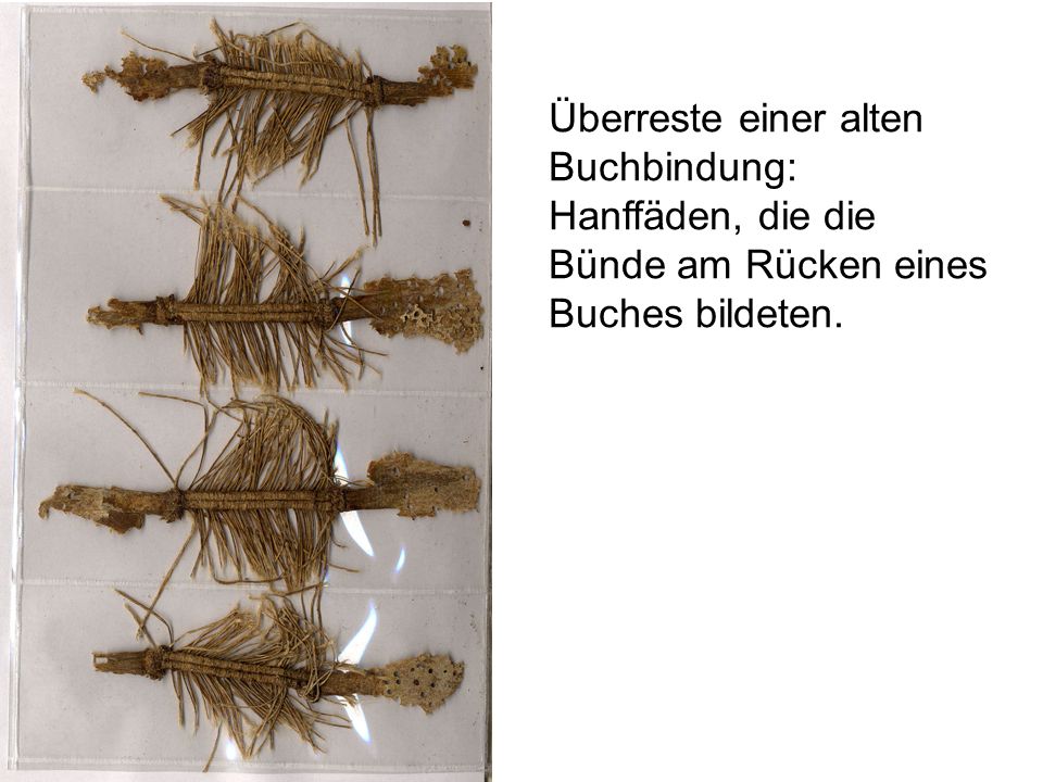 Überreste einer alten Buchbindung: Hanffäden, die die Bünde am Rücken eines Buches bildeten.