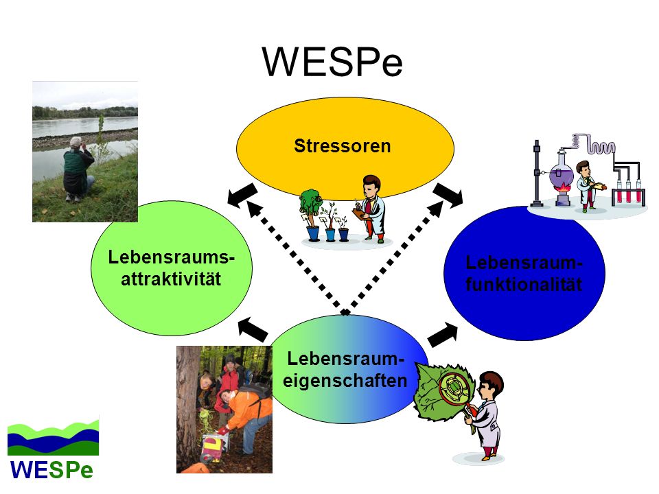 WESPe Stressoren Lebensraums- Lebensraum- attraktivität funktionalität