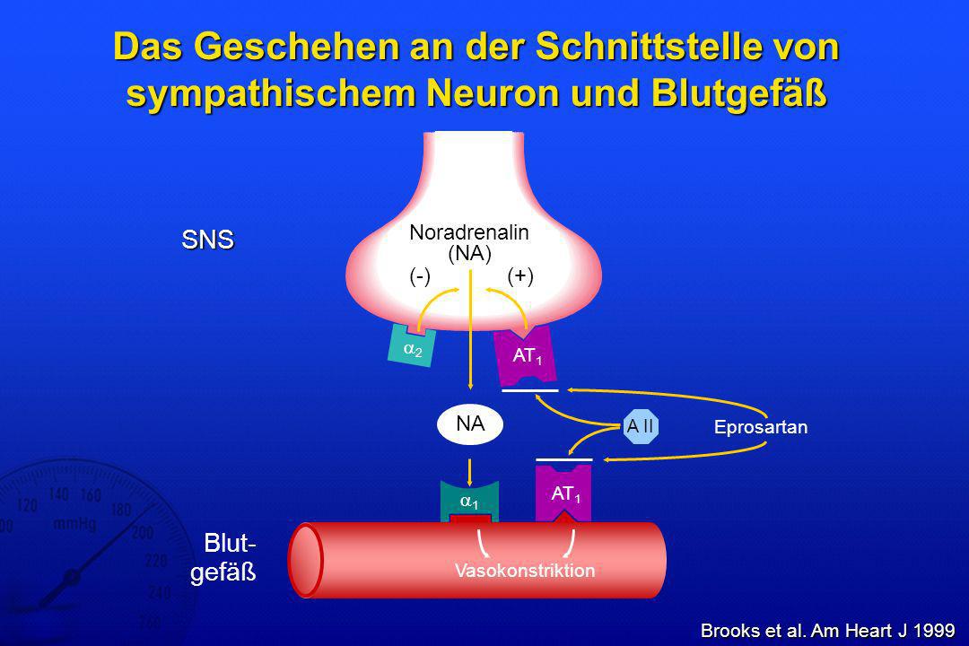 Das Geschehen an der Schnittstelle von sympathischem Neuron und Blutgefäß