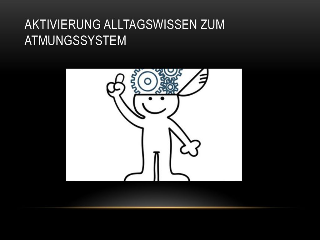 Aktivierung Alltagswissen zum Atmungssystem