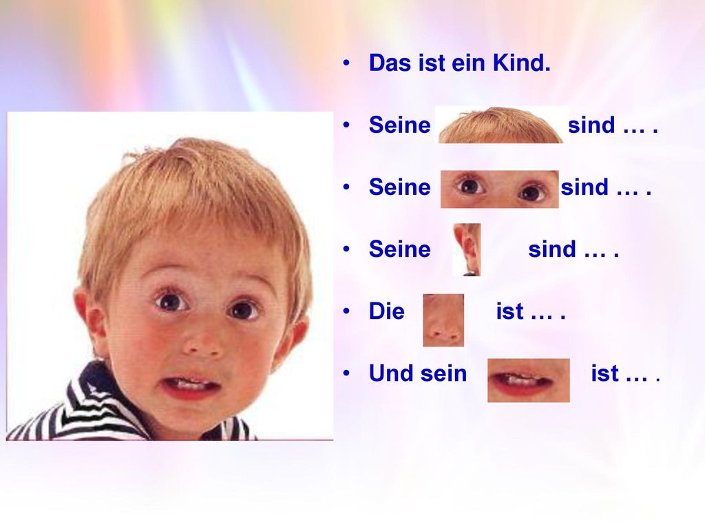 Das ist ein Kind. Seine sind … . Seine sind … . Seine sind … .