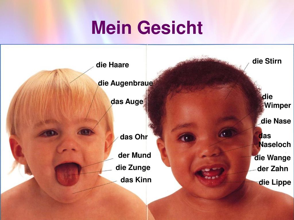Mein Gesicht die Stirn die Haare die Augenbraue die das Auge Wimper