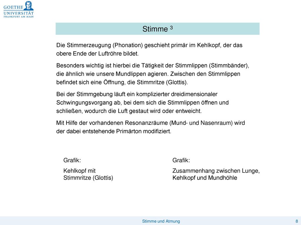 Stimme 3 Die Stimmerzeugung (Phonation) geschieht primär im Kehlkopf, der das obere Ende der Luftröhre bildet.