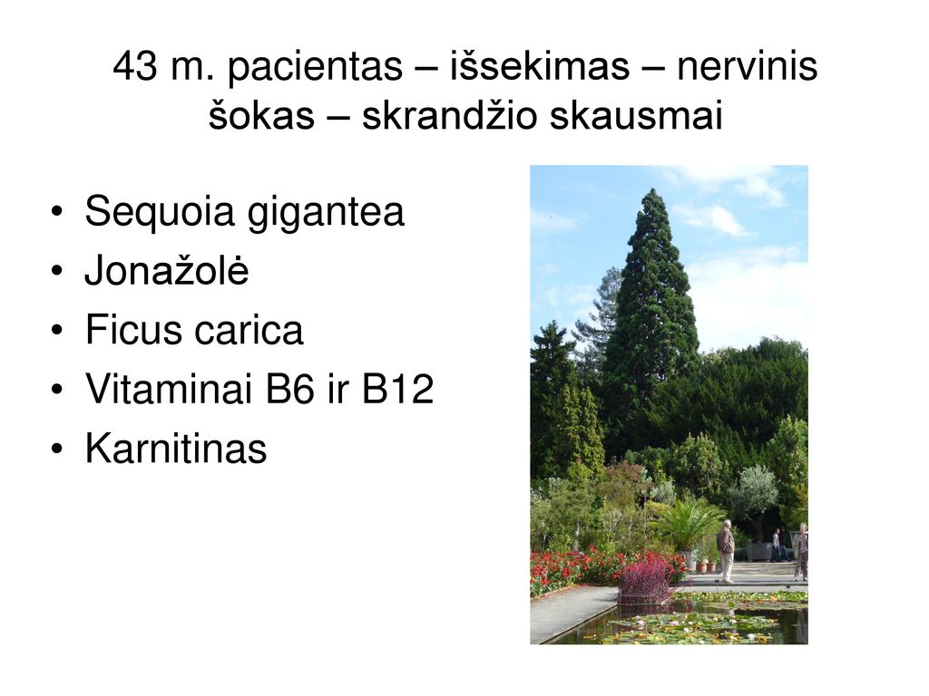 43 m. pacientas – išsekimas – nervinis šokas – skrandžio skausmai