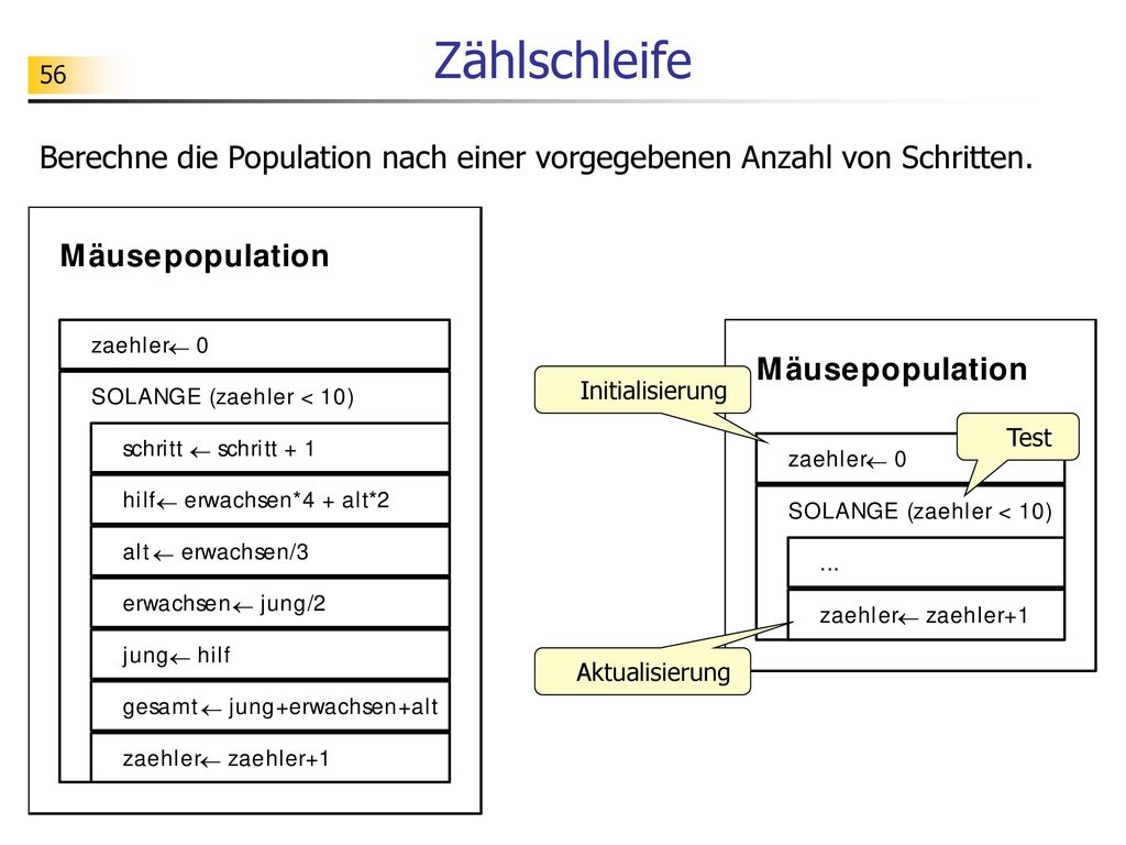 Zählschleife Berechne die Population nach einer vorgegebenen Anzahl von Schritten. Initialisierung.