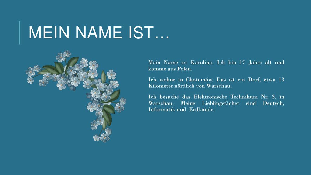 Mein Name ist… Mein Name ist Karolina. Ich bin 17 Jahre alt und komme aus Polen.