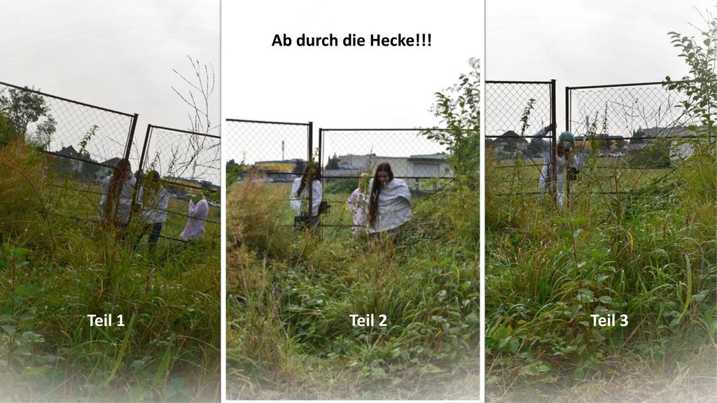 Ab durch die Hecke!!! Teil 1 Teil 2 Teil 3