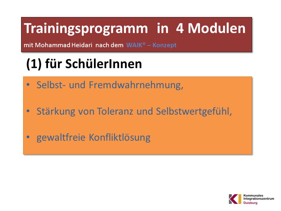 Trainingsprogramm in 4 Modulen mit Mohammad Heidari nach dem WAIK® – Konzept