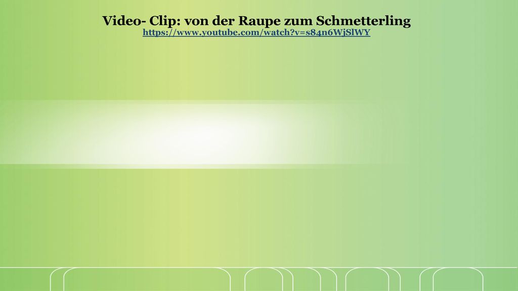 Video- Clip: von der Raupe zum Schmetterling   youtube