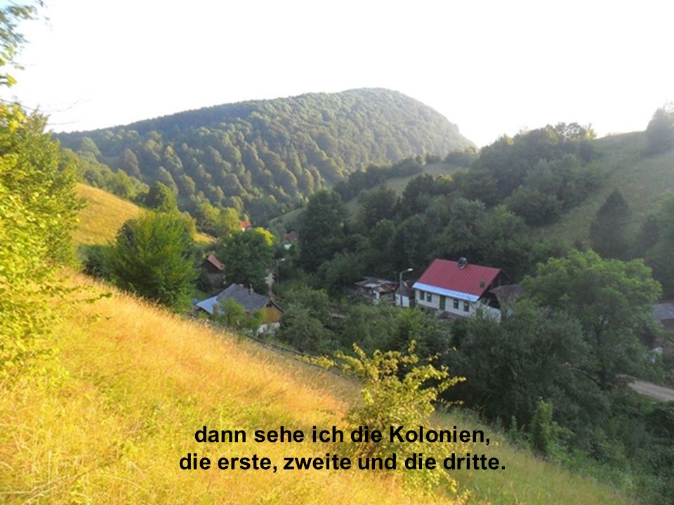 dann sehe ich die Kolonien, die erste, zweite und die dritte.
