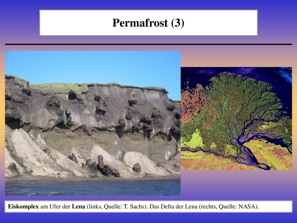 Permafrost (3) Eiskomplex am Ufer der Lena (links, Quelle: T.