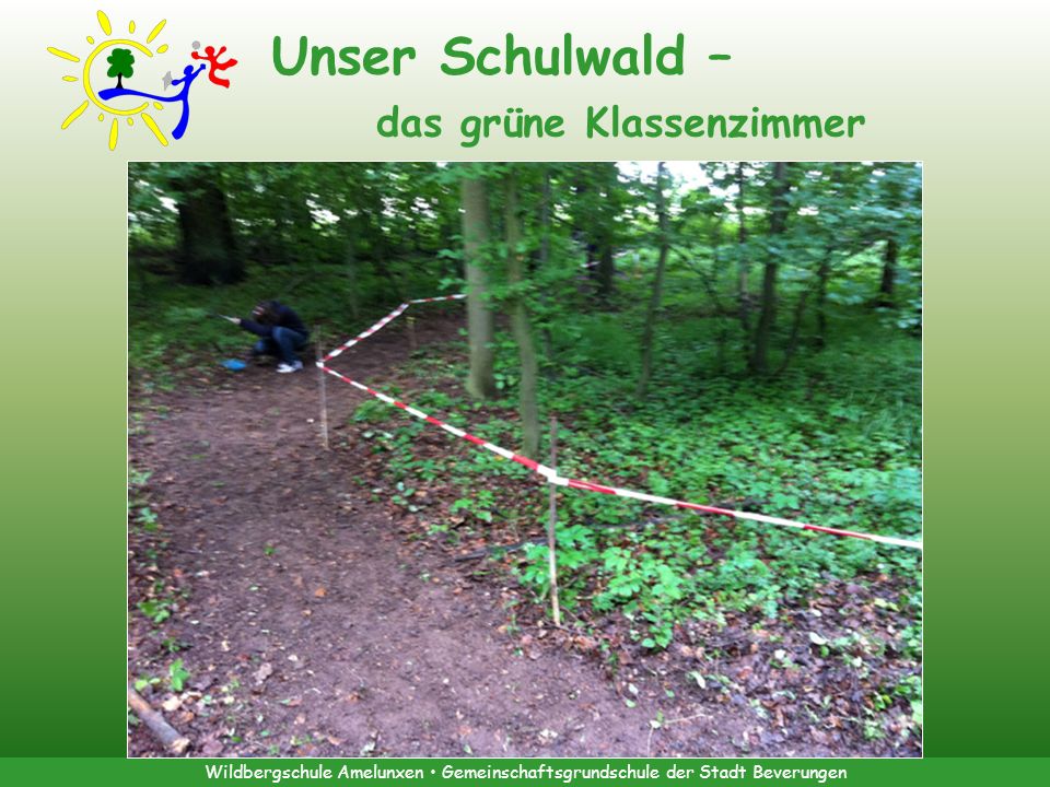 Unser Schulwald – das grüne Klassenzimmer