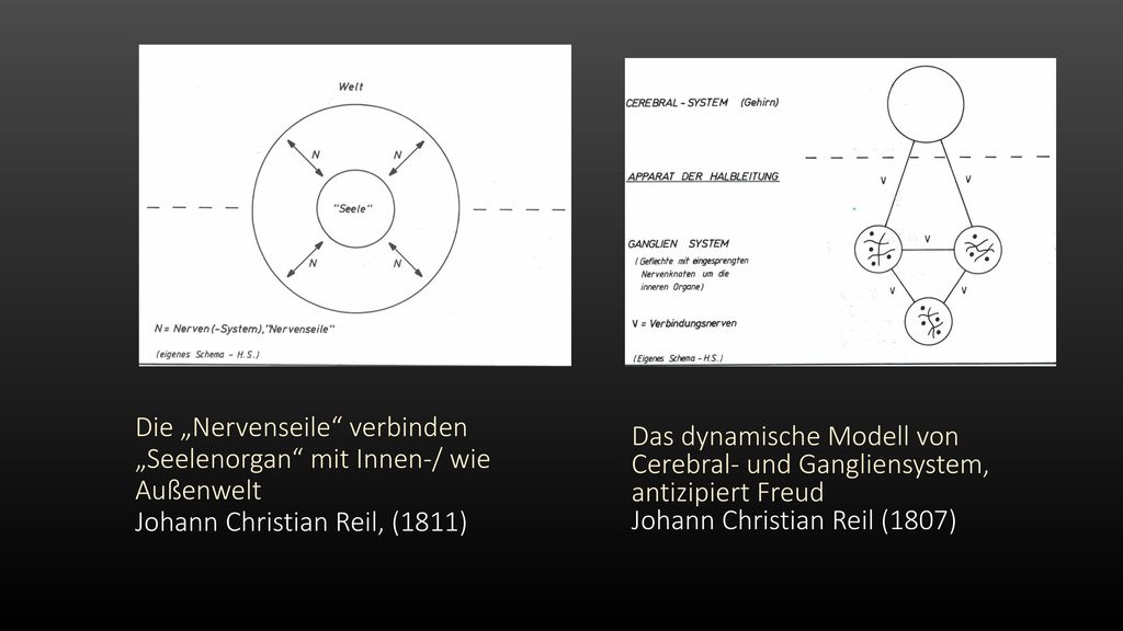 Die „Nervenseile verbinden „Seelenorgan mit Innen-/ wie Außenwelt Johann Christian Reil, (1811)