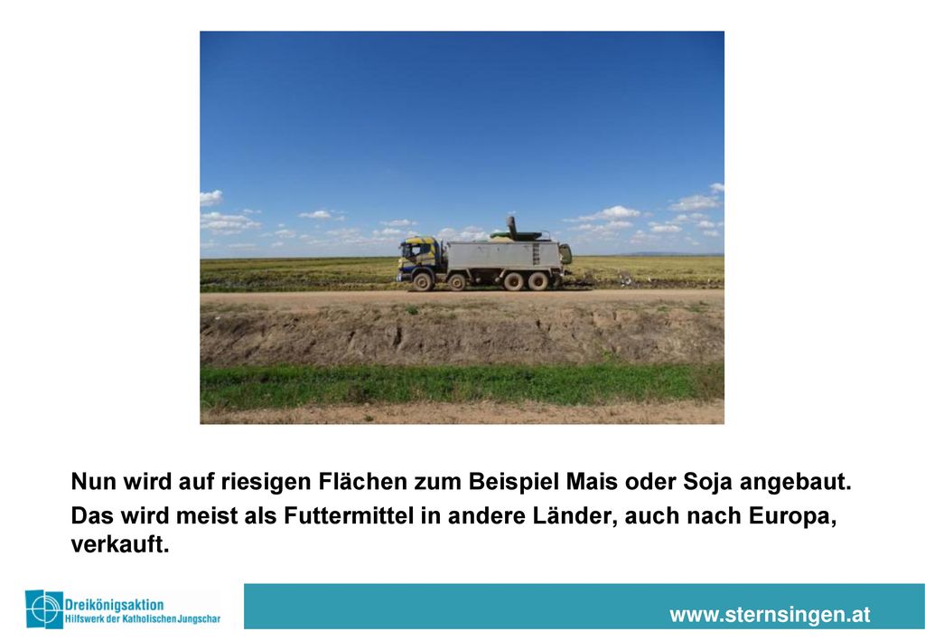 Nun wird auf riesigen Flächen zum Beispiel Mais oder Soja angebaut.