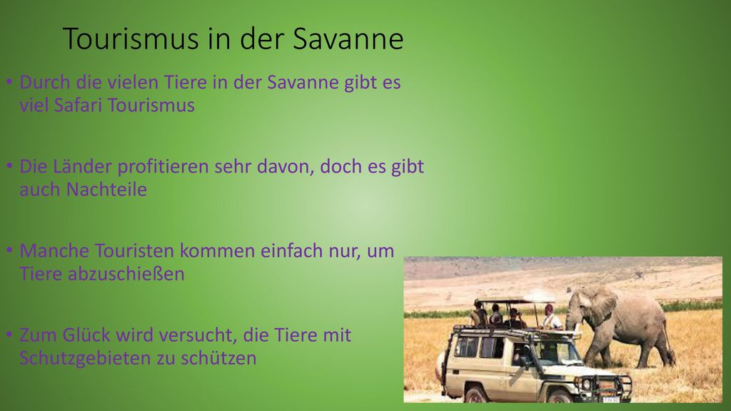 Tourismus in der Savanne