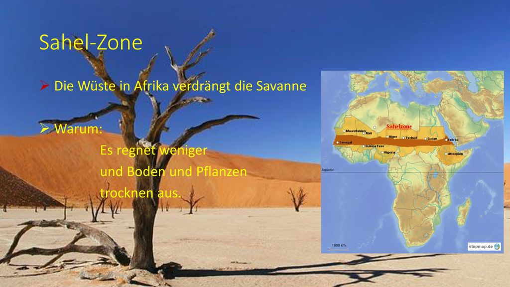 Sahel-Zone Die Wüste in Afrika verdrängt die Savanne Warum: