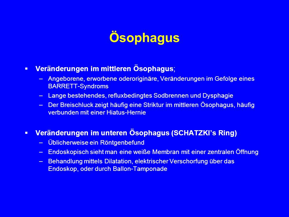 Ösophagus Mit Epithel ausgekleideter muskulärer Schlauch - ppt video online  herunterladen