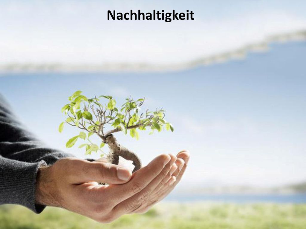 Nachhaltigkeit PhysikOnline: Großes Team, Verzahnung mit eLearning-Plattform, Benutzung in Physik-Lehre,
