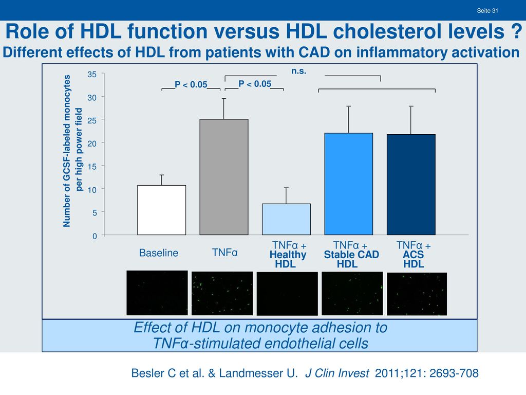 Mechanismen pro-inflammatorischer vaskulärer Effekte des HDL bei Patienten mit koronarer Herzerkrankung