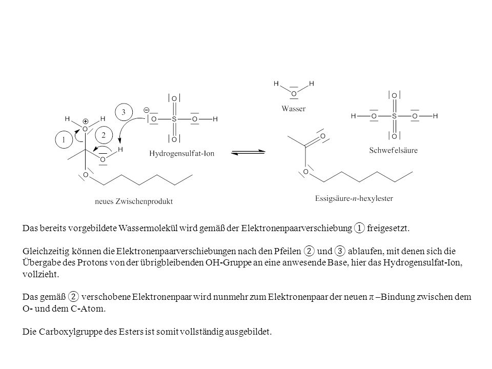 Das bereits vorgebildete Wassermolekül wird gemäß der Elektronenpaarverschiebung ① freigesetzt.