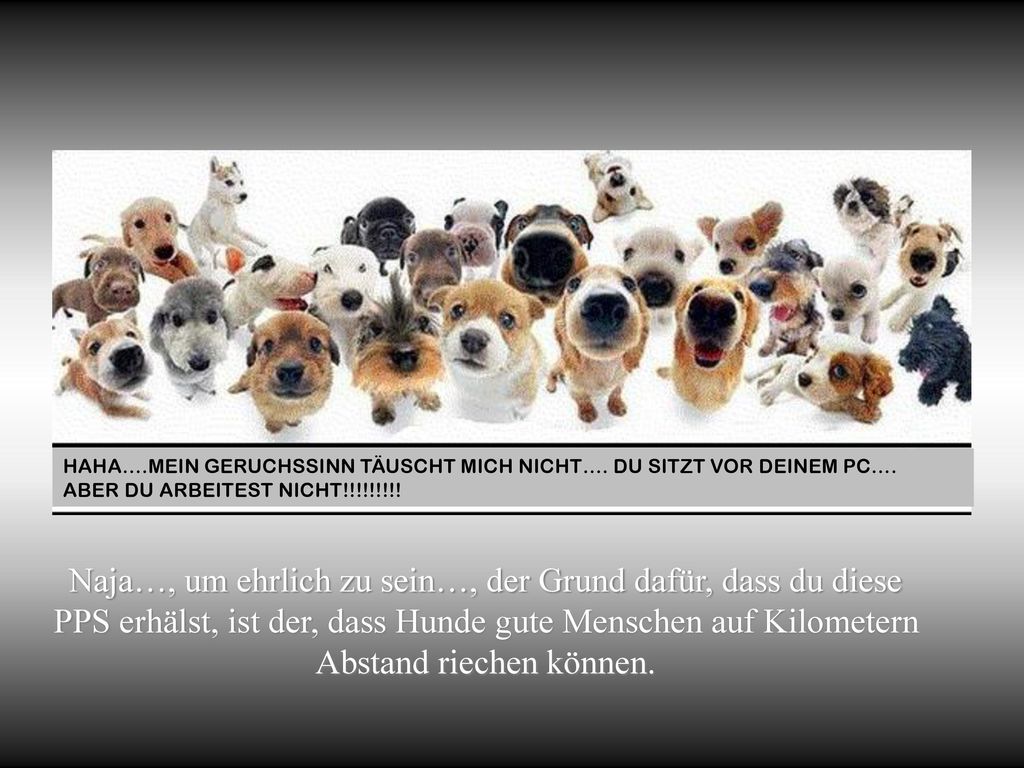 Naja…, um ehrlich zu sein…, der Grund dafür, dass du diese