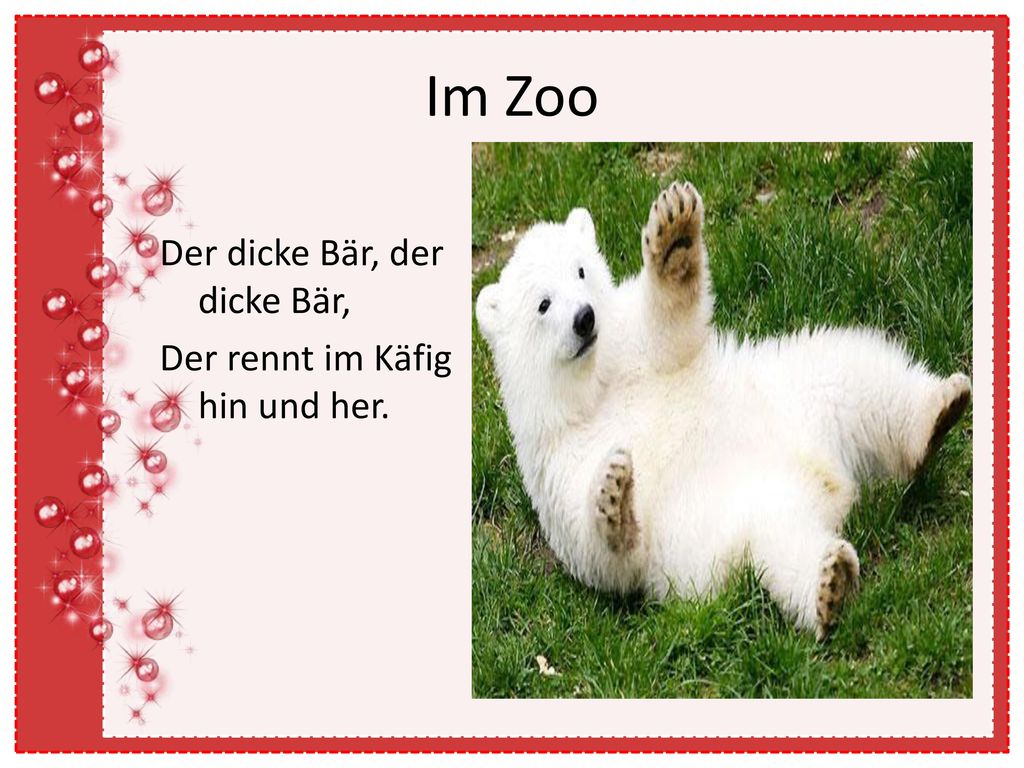 Im Zoo Der dicke Bär, der dicke Bär, Der rennt im Käfig hin und her.