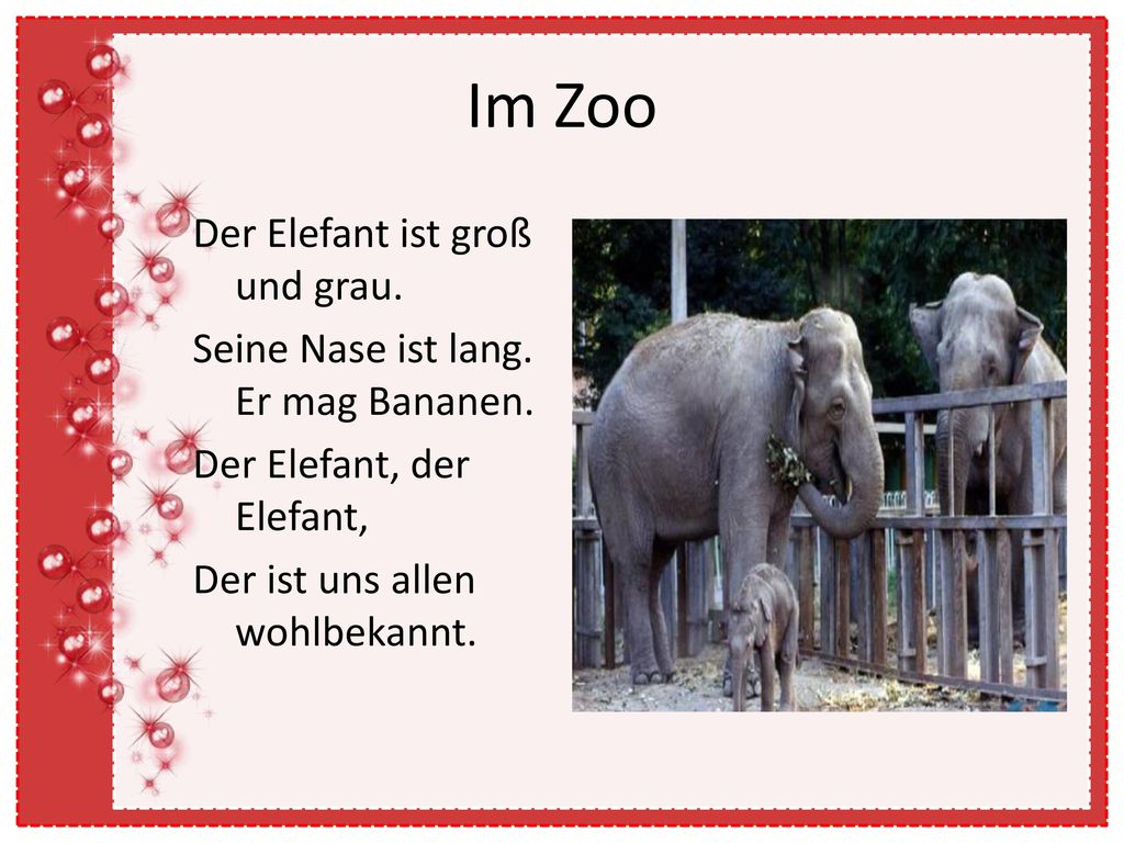 Im Zoo Der Elefant ist groß und grau. Seine Nase ist lang.