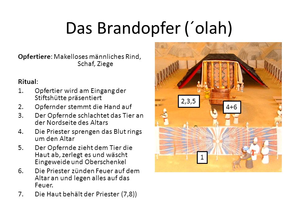 Das Brandopfer (´olah)