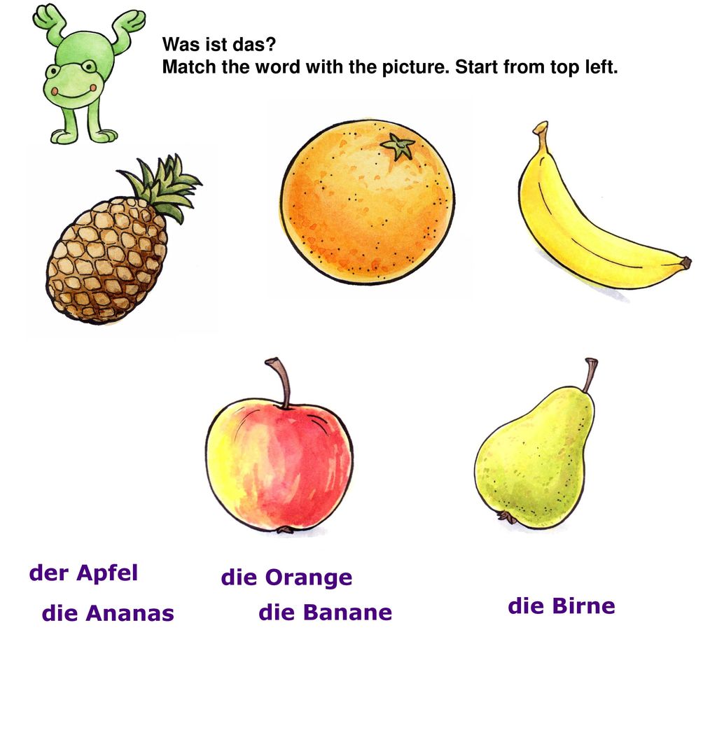 der Apfel die Orange die Birne die Ananas die Banane Was ist das