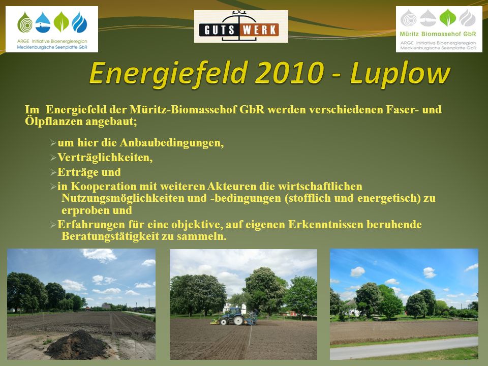 Energiefeld Luplow Im Energiefeld der Müritz-Biomassehof GbR werden verschiedenen Faser- und Ölpflanzen angebaut;