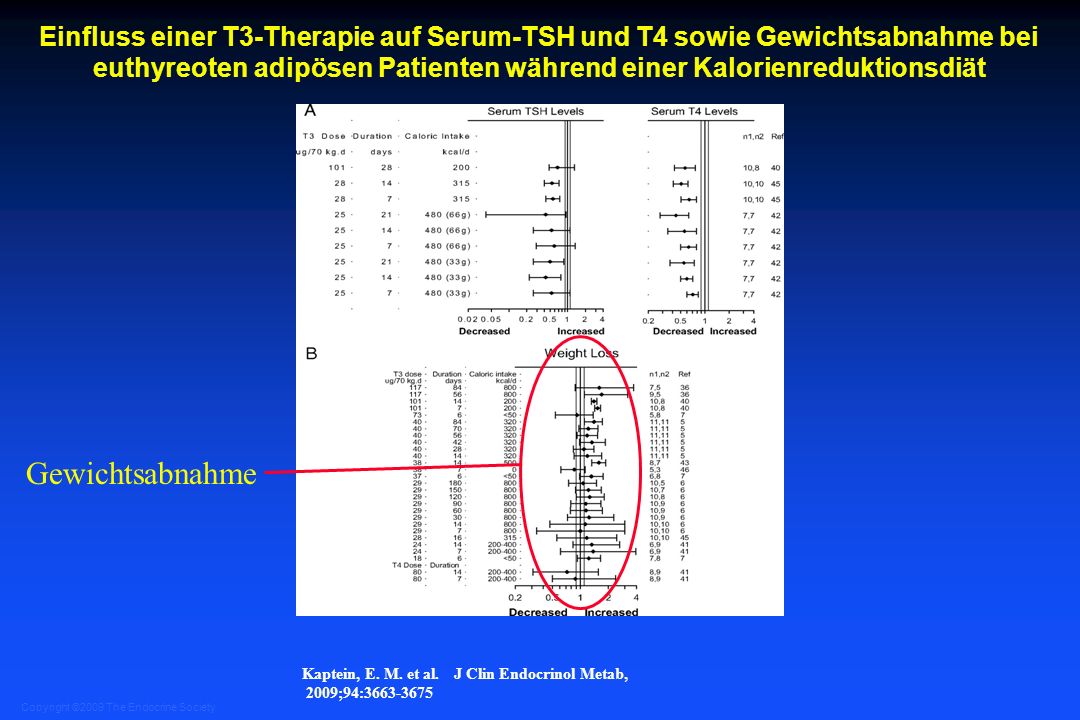 Einfluss einer T3-Therapie auf Serum-TSH und T4 sowie Gewichtsabnahme bei euthyreoten adipösen Patienten während einer Kalorienreduktionsdiät