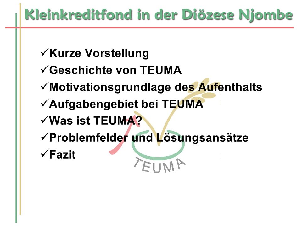 Kurze Vorstellung Geschichte von TEUMA. Motivationsgrundlage des Aufenthalts. Aufgabengebiet bei TEUMA.