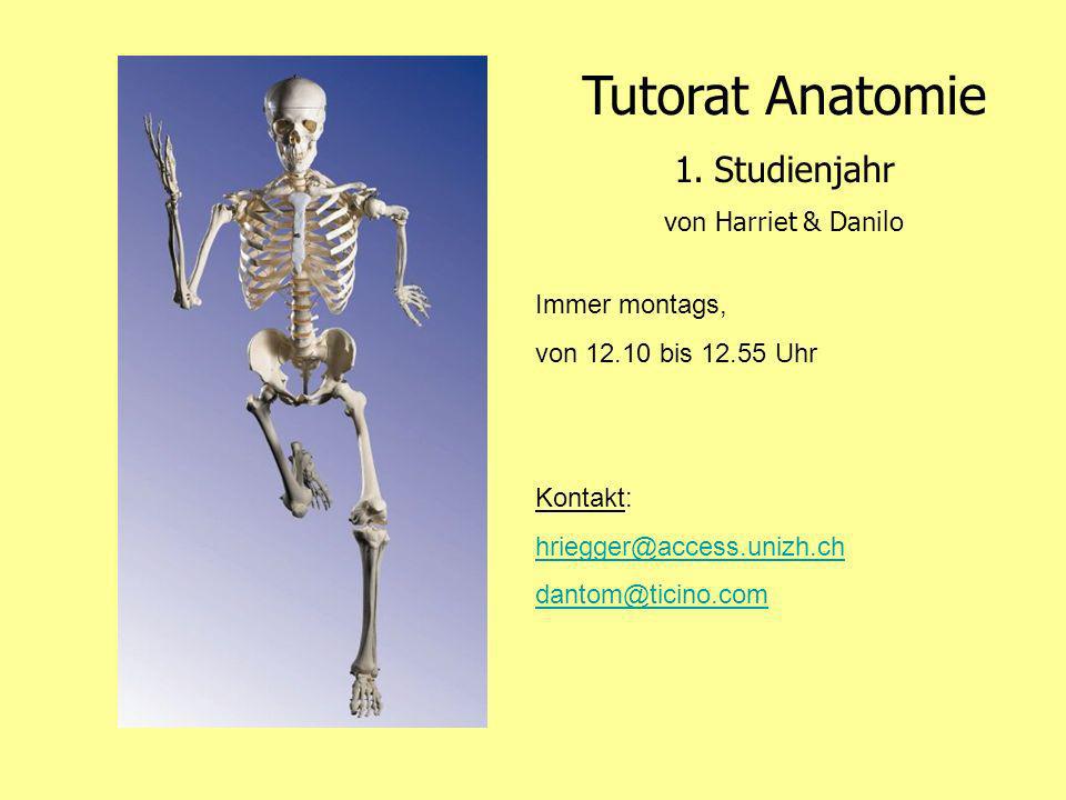 Tutorat Anatomie Studienjahr von Harriet & Danilo Immer montags,