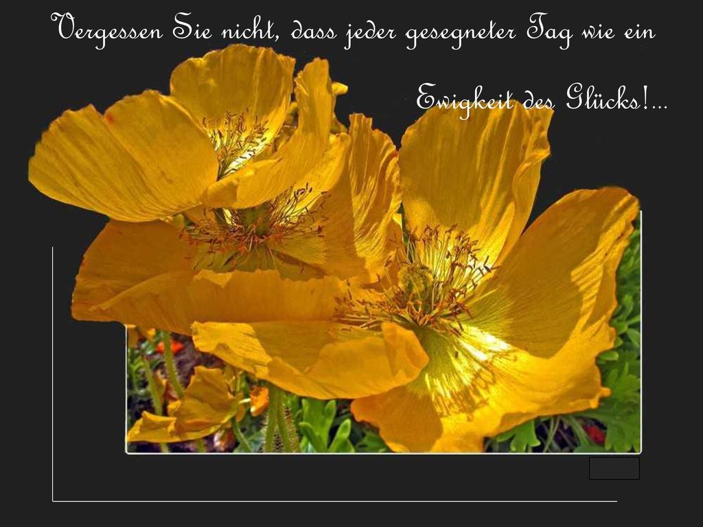 Vergessen Sie nicht, dass jeder gesegneter Tag wie ein