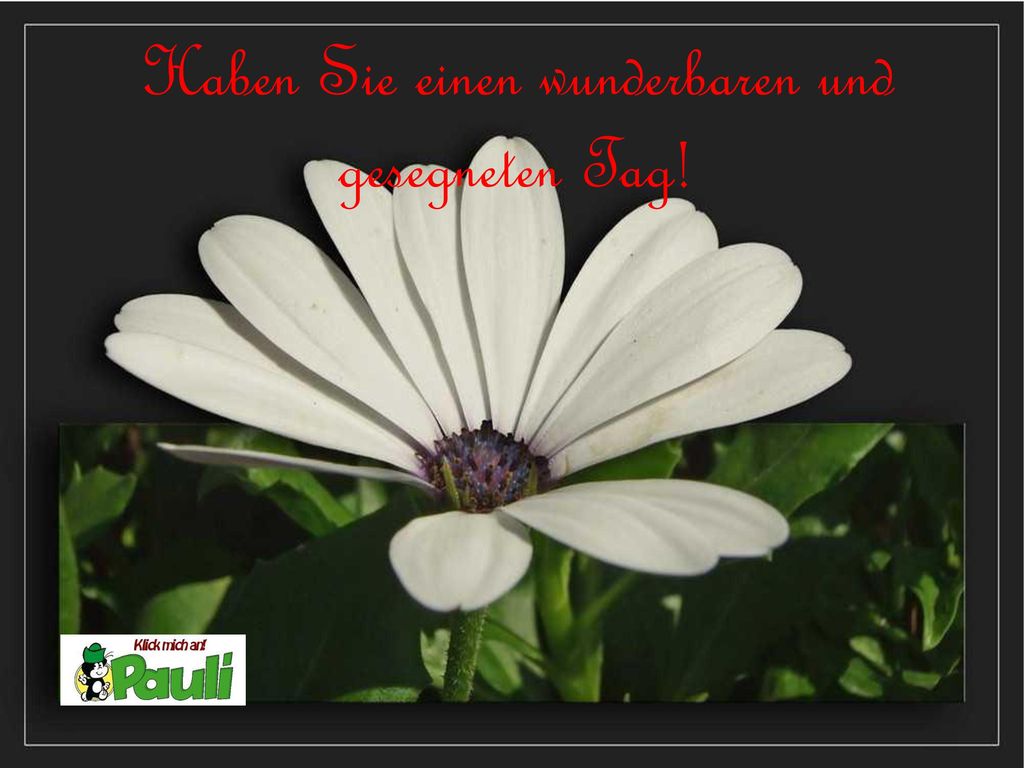 Haben Sie einen wunderbaren und gesegneten Tag!