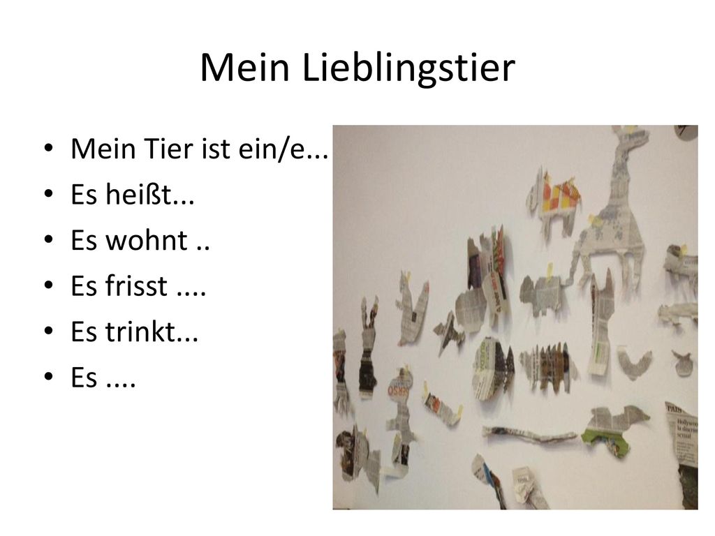 Mein Lieblingstier Mein Tier ist ein/e... Es heißt... Es wohnt ..