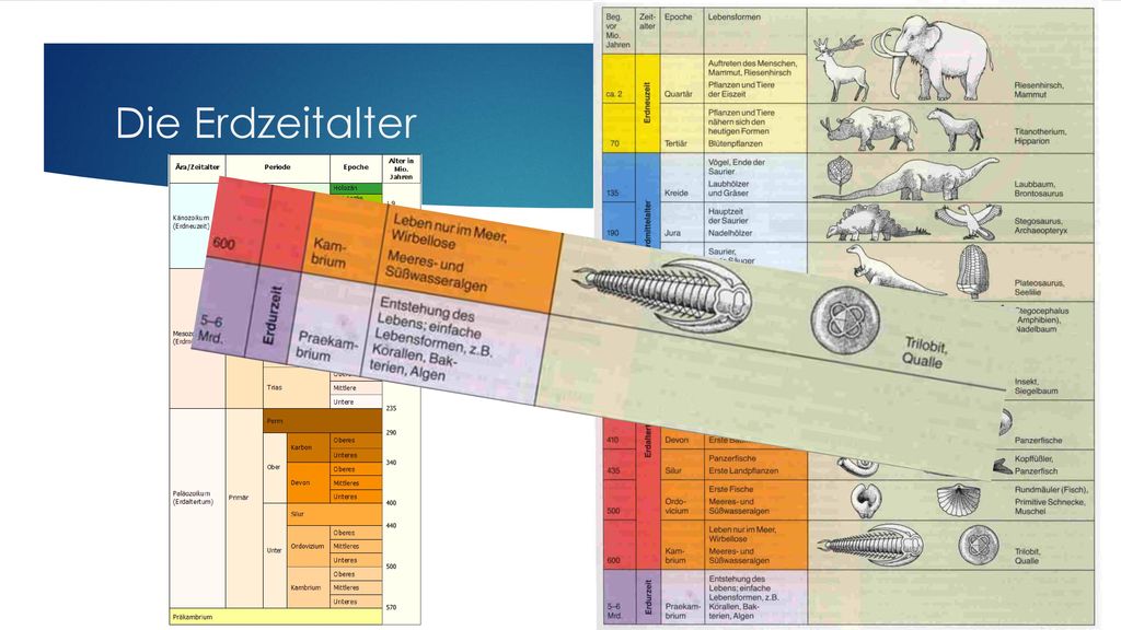 Featured image of post Leitfossilien Erdzeitalter Tabelle / De seit der mittleren kreide sind planktische foraminiferen stratigraphische leitfossilien und wichtige ökologische und.